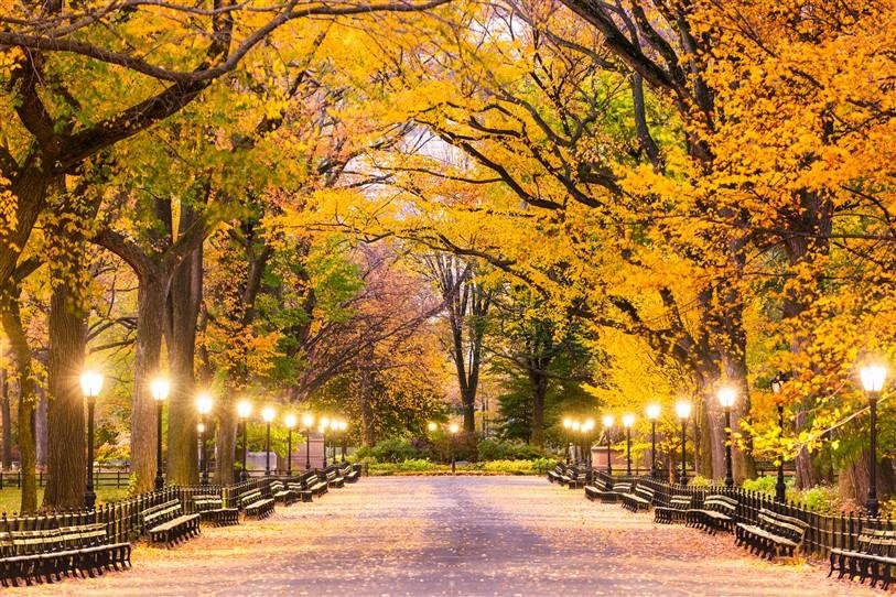 Günlük Hayattan Renkli Kareler