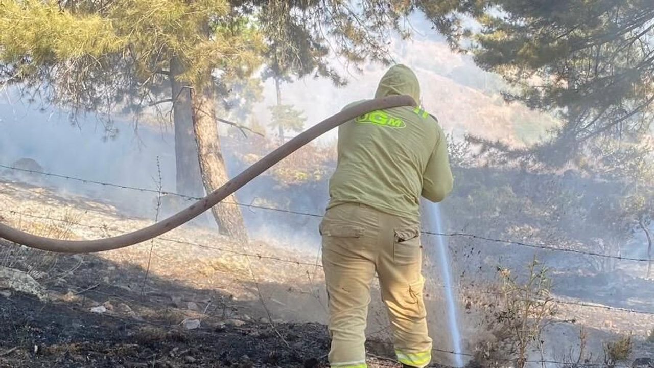 Kahramanmaraş’ta orman yangınına yoğun müdahale