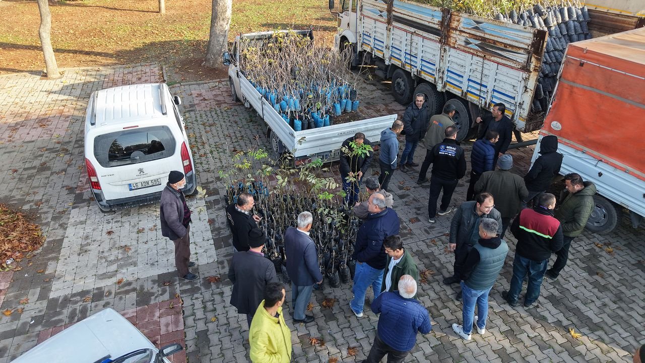 Kahramanmaraş’ta Yüzde 50 Hibeli Fidan Desteği Başladı