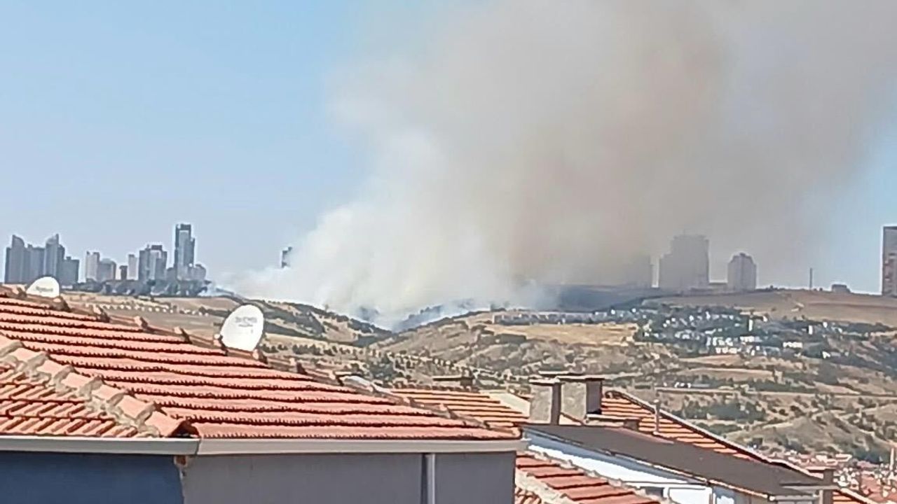 Kahramanmaraş’ta ziraat yangını korkuttu